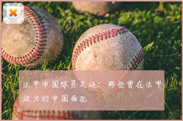 法甲中国球员足迹：那些曾在法甲效力的中国面孔
